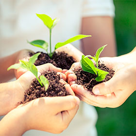 地球環境の保全